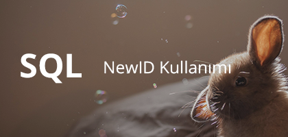 SQL NewID Kullanımı